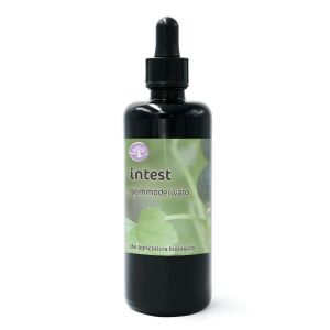 Intest – miscela di gemmoderivati