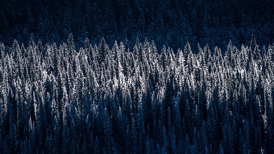 Solstizio d’Inverno: prepariamoci a rinascere con il sole