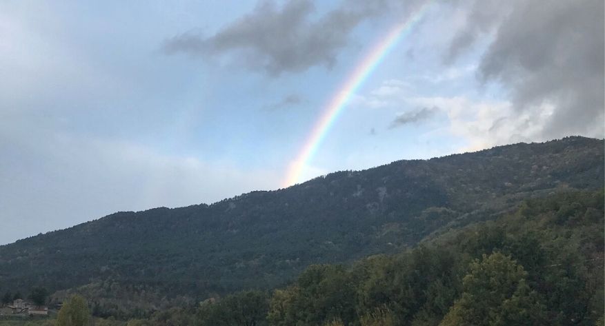 Si può guarire dalle malattie croniche?