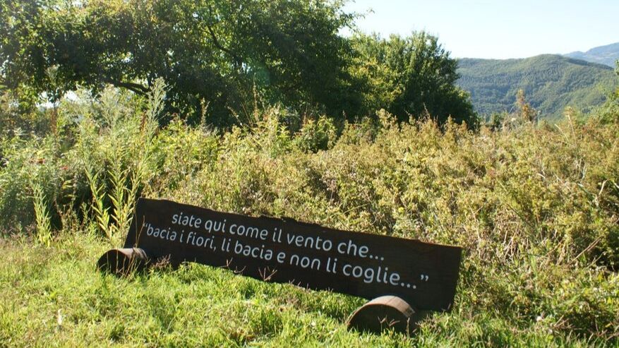 Condivisioni sulla natura