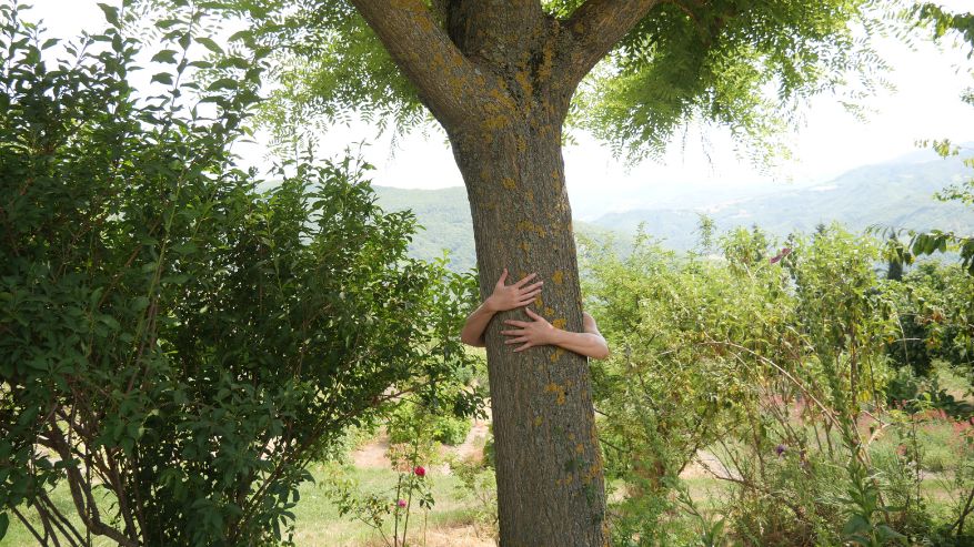 Lo Spirito degli Alberi 2026