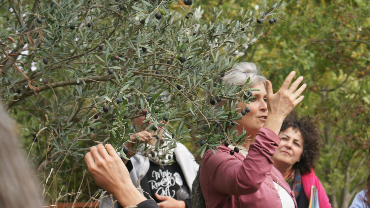 ERBORISTERIA POETICA - Innamorarsi delle Piante con Lucilla