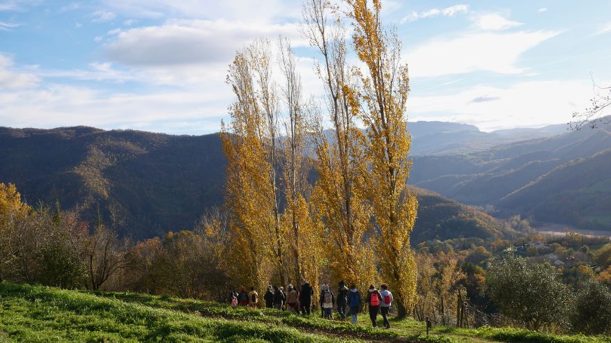 Festa degli Alberi - Lo spirito degli alberi