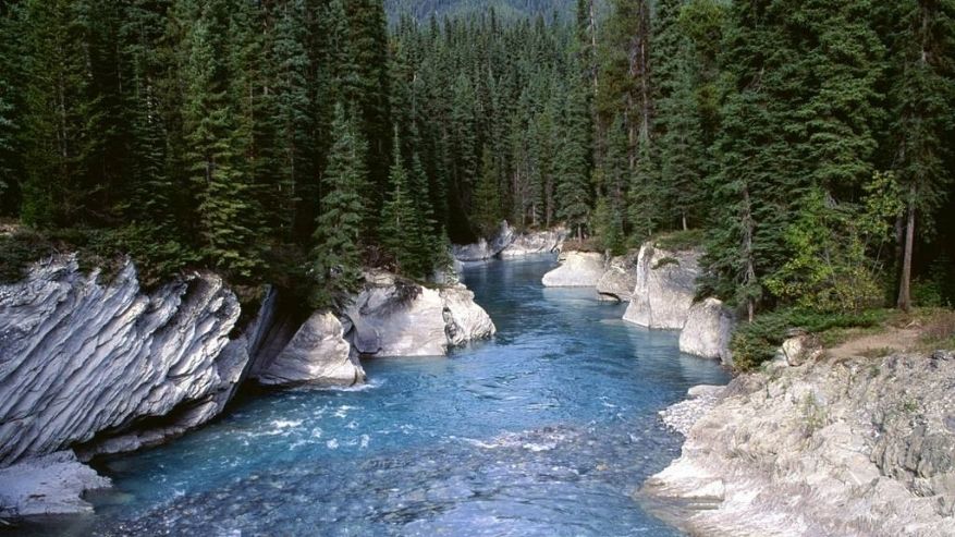 La coerenza dell'acqua salverà il mondo