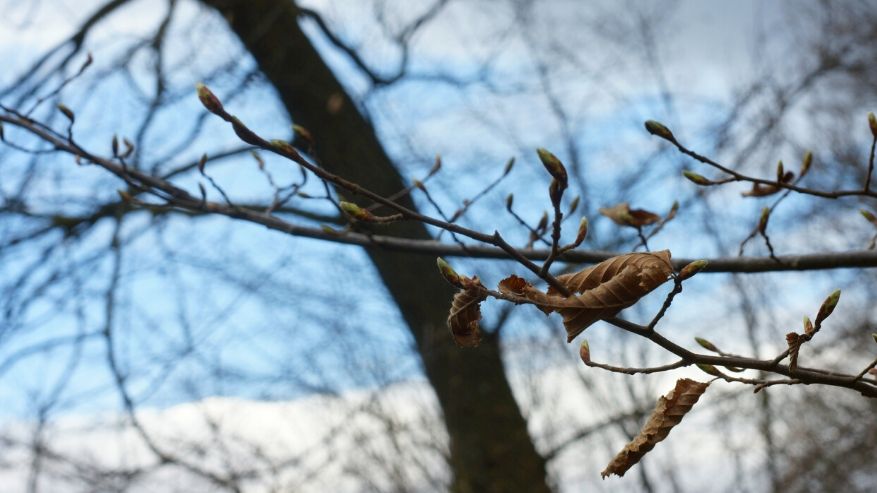 Perché in inverno ci ammaliamo?