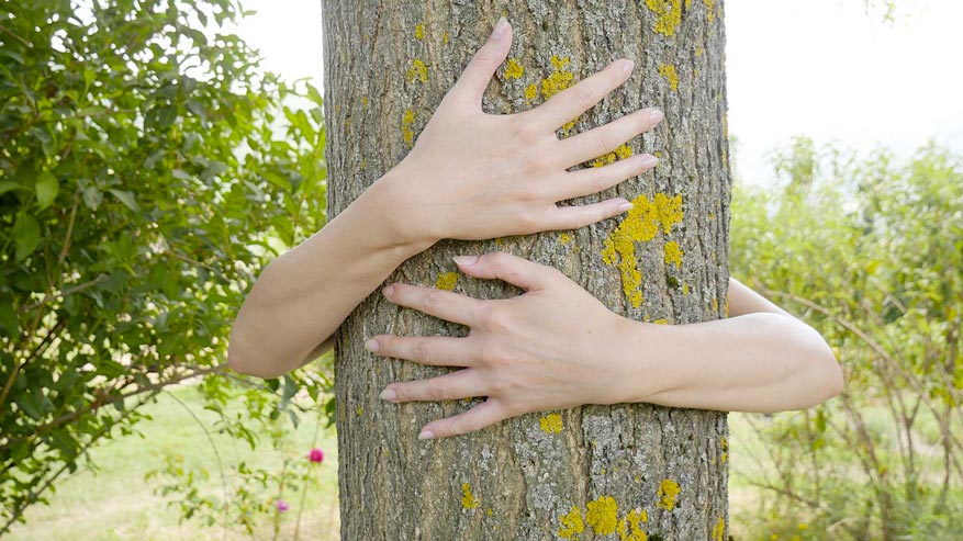 Vaccinazioni o prevenzione: la natura sempre al tuo fianco