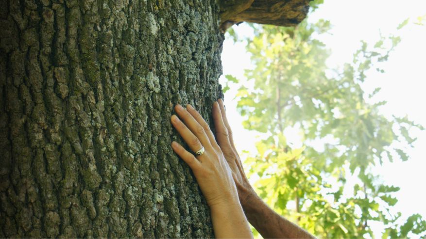Passeggiata filosofica: dialogo tra scienza e natura