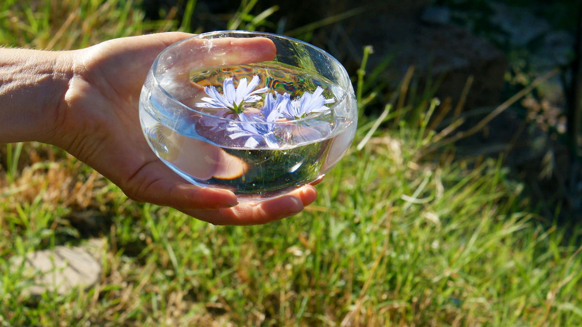 Fiori di Bach secondo il metodo originale