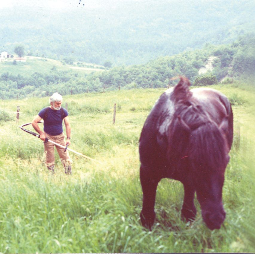 Foto storica di Remedia, con Efrem e cavallo al pascolo