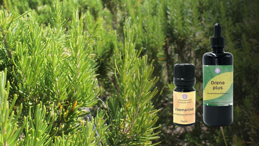 drena sconto plus
