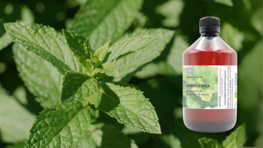 acqua aromatica di menta
