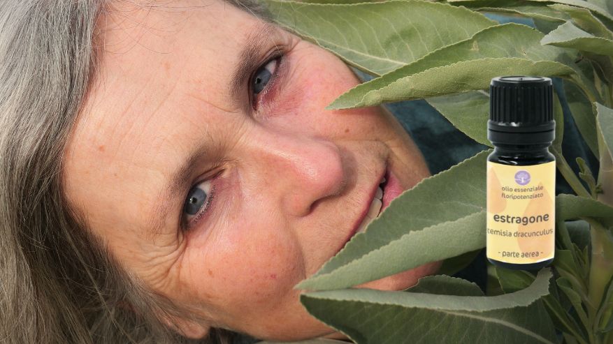 olio essenziale estragone rughe