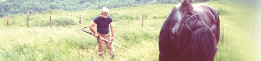 Foto storica di Remedia, con Efrem e cavallo al pascolo