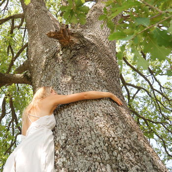 donna che abbraccia albero