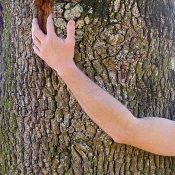 uomo che abbraccia albero
