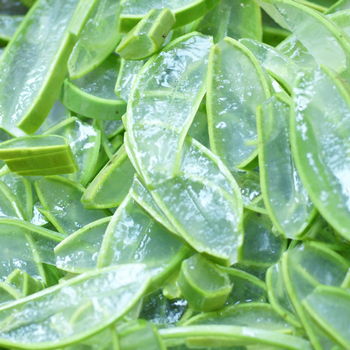 lavorazione di aloe
