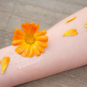 calendula sul corpo
