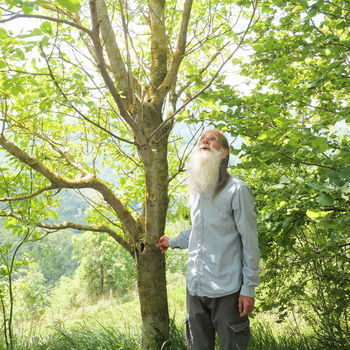 hubert con albero