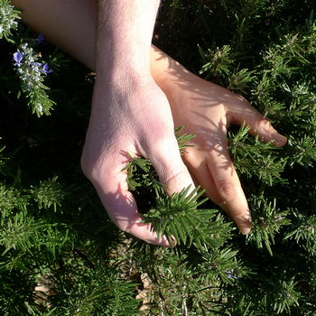 coppia di mani con foglie