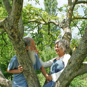 albero di melo con coppia