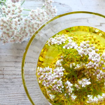 oleolito di achillea