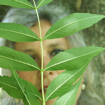 incontro con lo spirito degli alberi del frassino