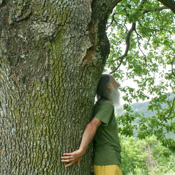 tronco di albero con uomo