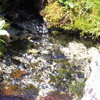 Rock Water